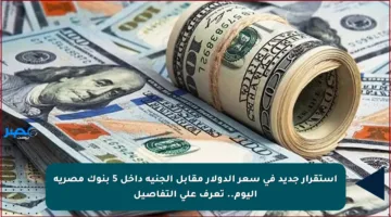 استقرار جديد في سعر الدولار مقابل الجنيه داخل 5 بنوك مصرية اليوم.. تعرف على التفاصيل